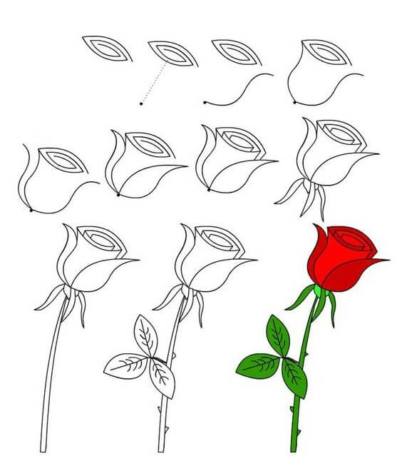 Dibujos de Una hermosa rosa