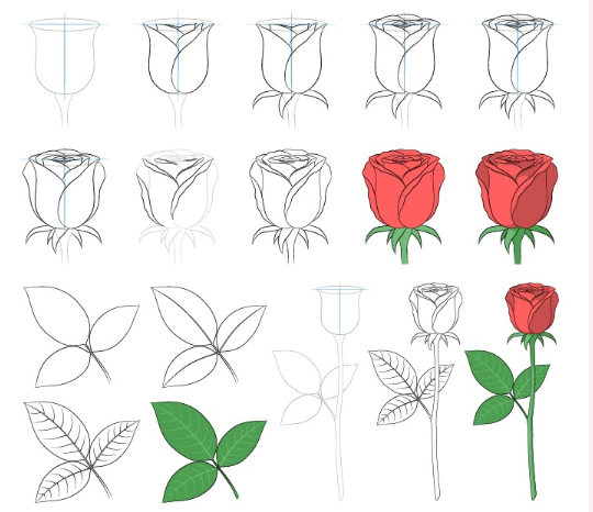 Dibujos de Una rama de rosa