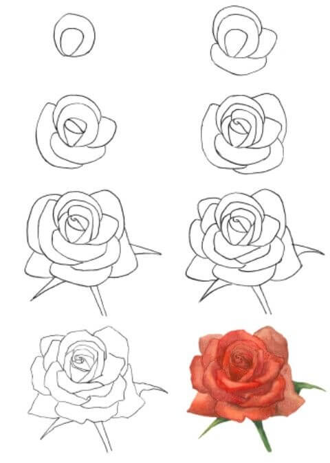 Dibujos de Una rosa - Idea 21