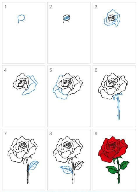 Dibujos de Una rosa - Idea 34