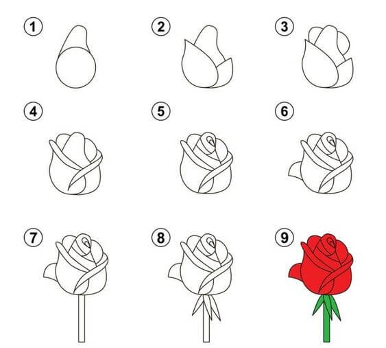 Dibujos de Una rosa - Idea 41