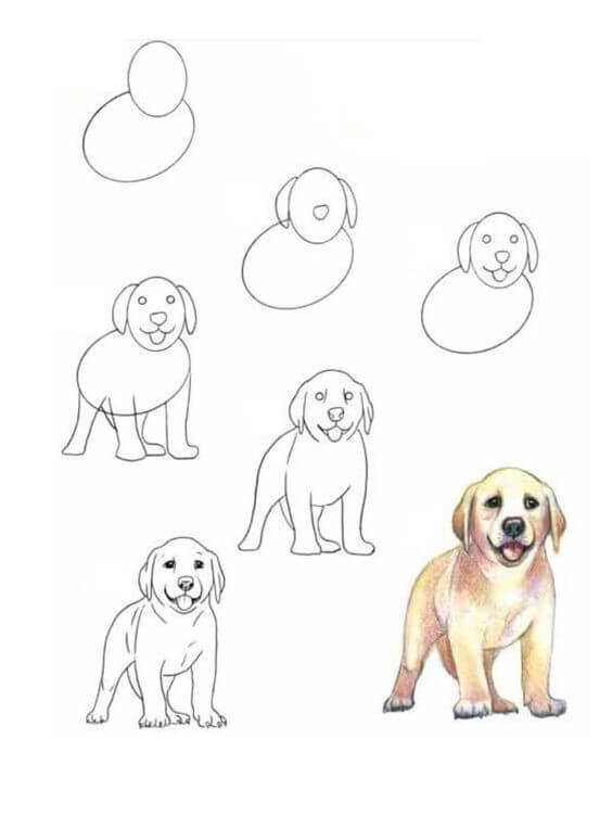 Dibujos de Un perro doméstico