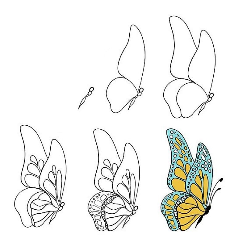 Dibujos de Una hermosa mariposa