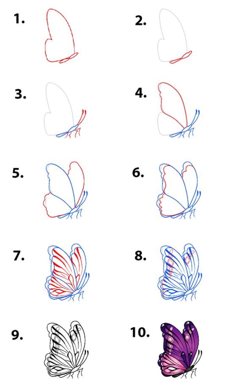 Dibujos de Una mariposa - Idea 11