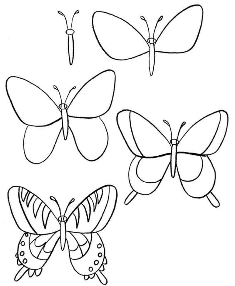 Dibujos de Una mariposa - Idea 13