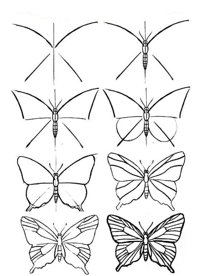 Dibujos de Una mariposa - Idea 15