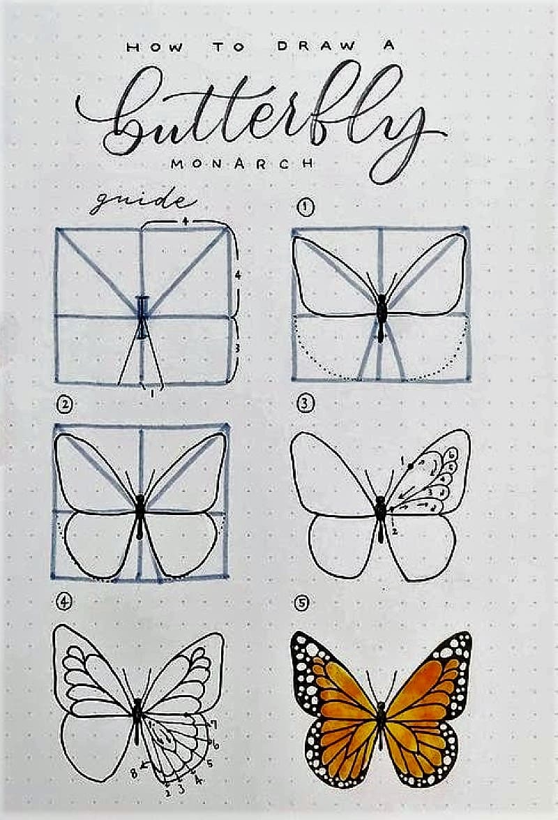 Dibujos de Una mariposa monarca