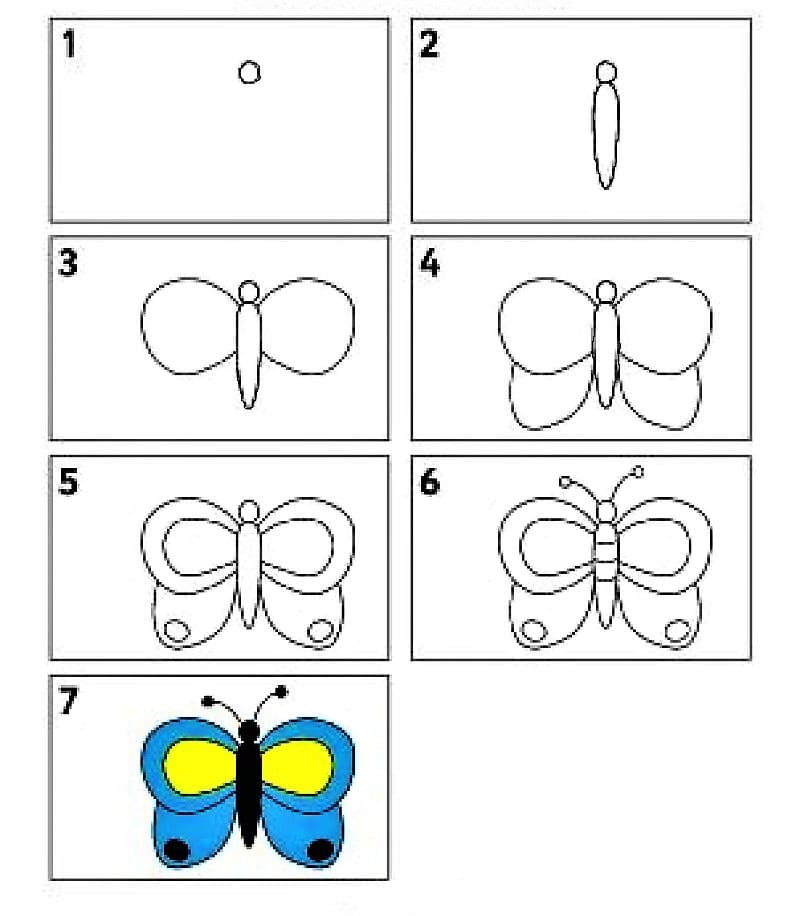 Dibujos de Una mariposa sencilla