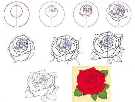 Dibujos de Una rosa detallada