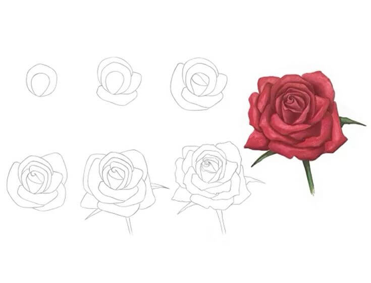 Dibujos de Una rosa - Idea 33