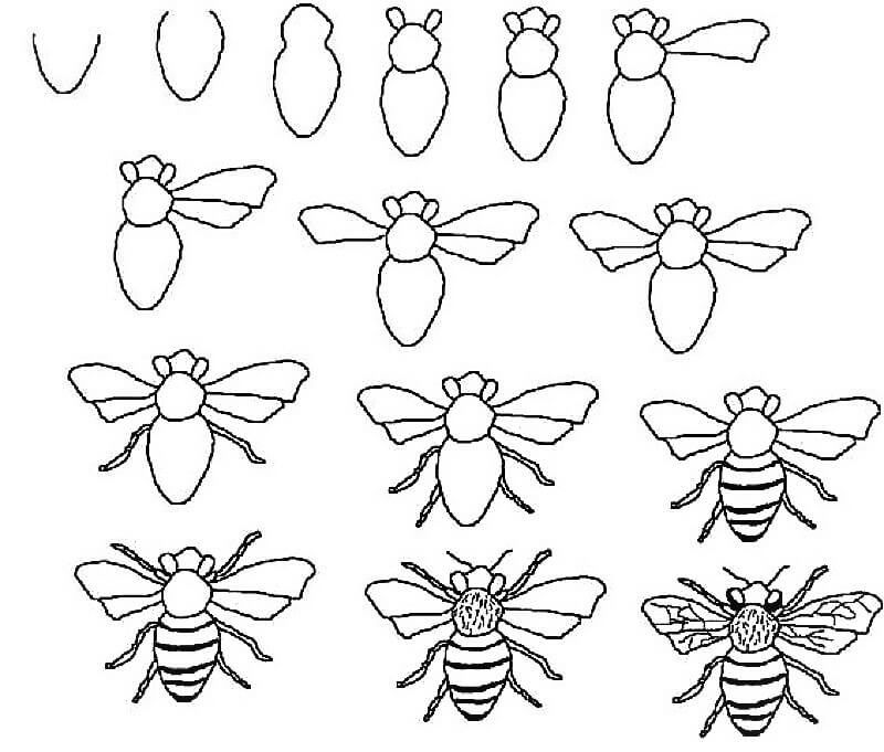 Dibujos de Abejas a lápiz