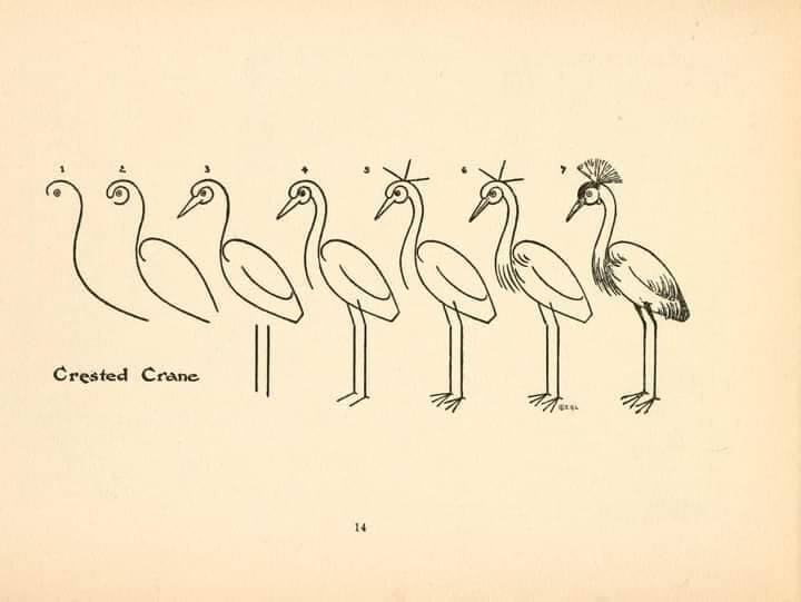 Dibujos de Grulla crestada