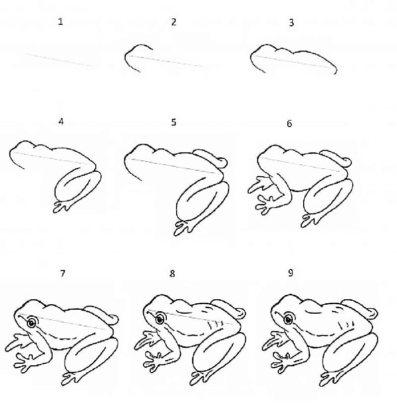 Dibujos de Un boceto de rana