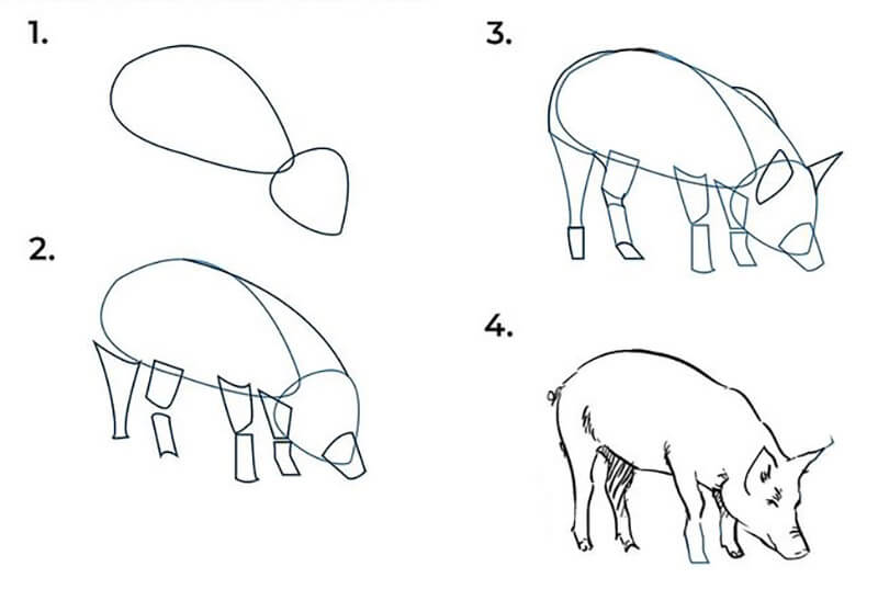 Dibujos de Un cerdo - Idea 13