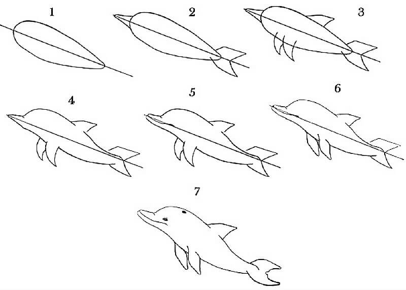 Dibujos de Un Delfín a lápiz