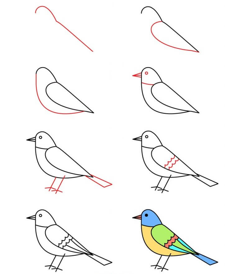 Dibujos de Un pájaro colorido