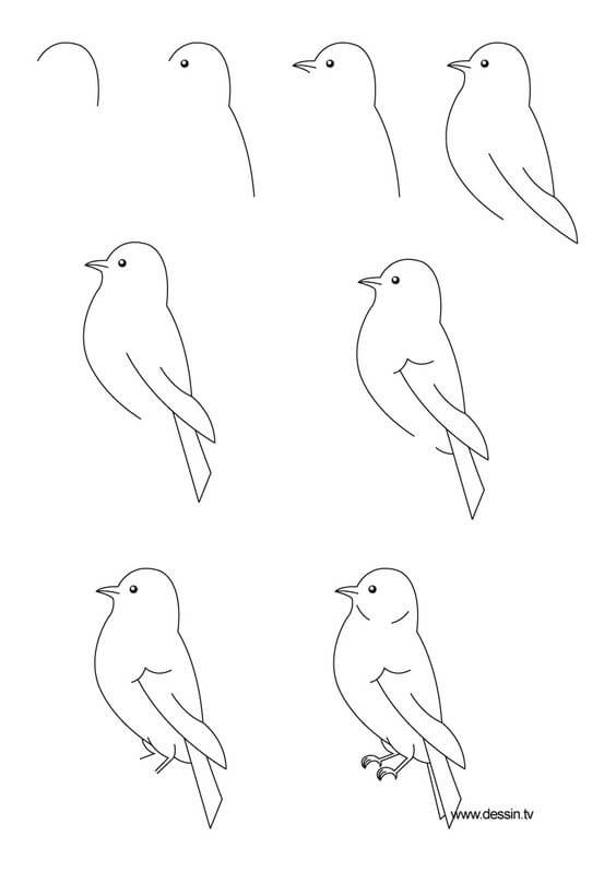 Dibujos de Un pájaro – Idea 23