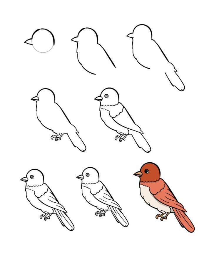 Dibujos de Un pájaro lindo