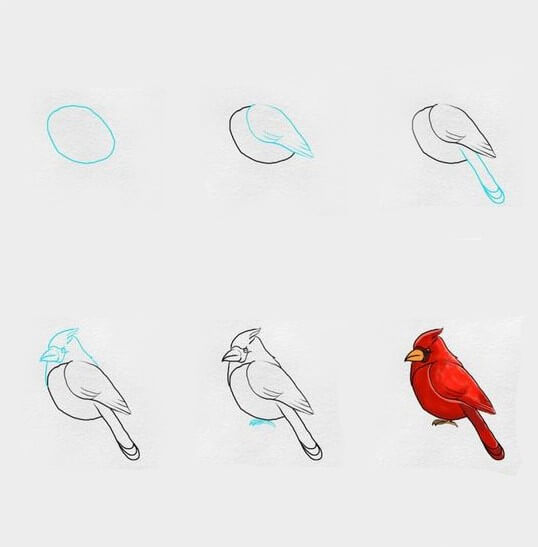 Dibujos de Un pájaro rojo