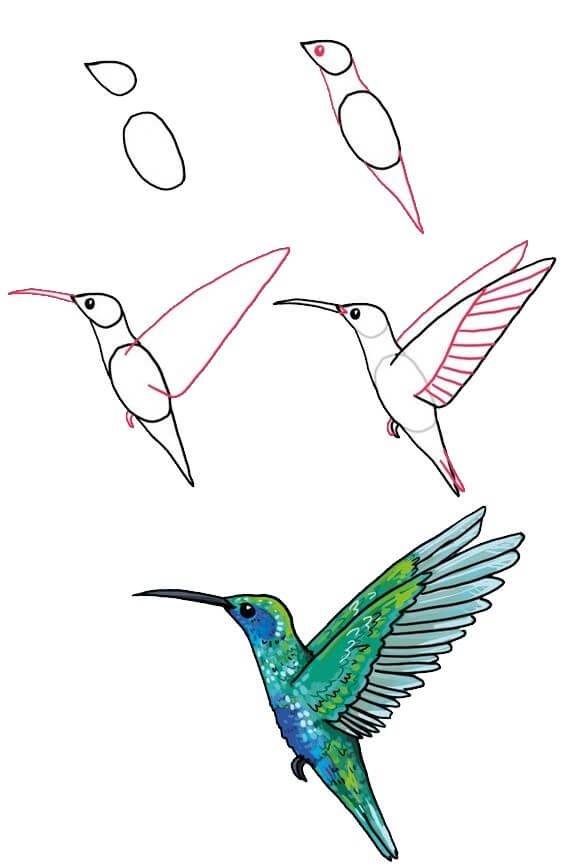 Dibujos de Un pajaro volando – Colibri