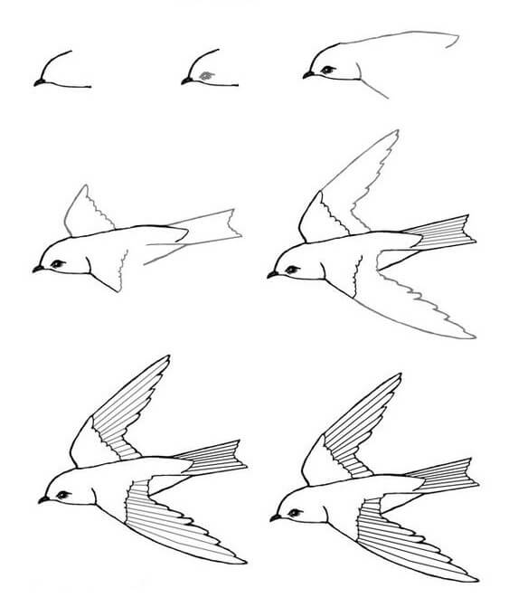 Dibujos de Un pájaro volando