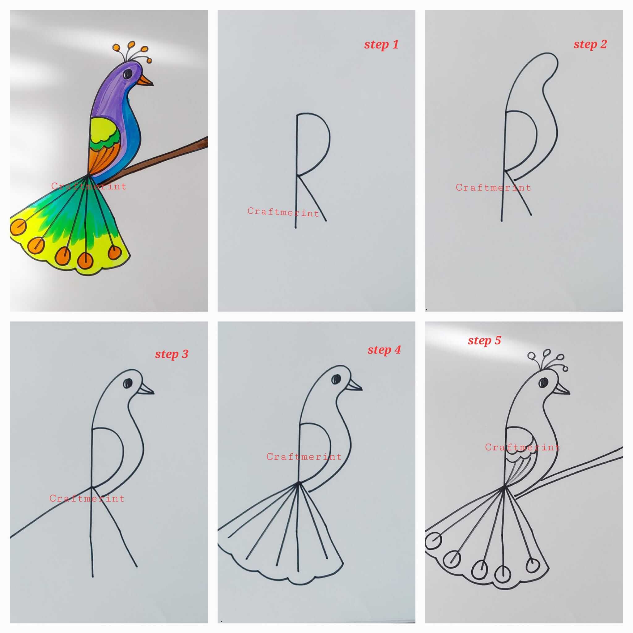 Dibujos de Peacock idea 33