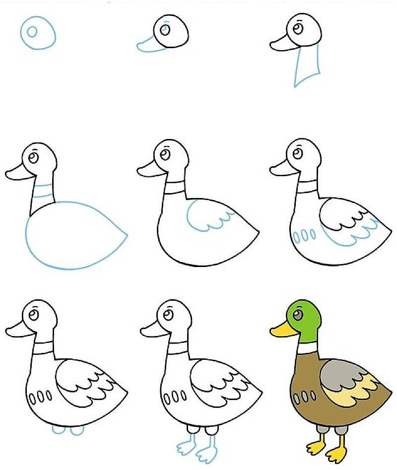 Dibujos de Un hermoso pato