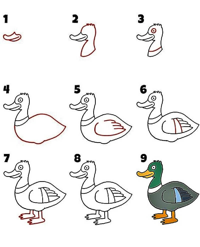 Dibujos de Un pato - Idea 10