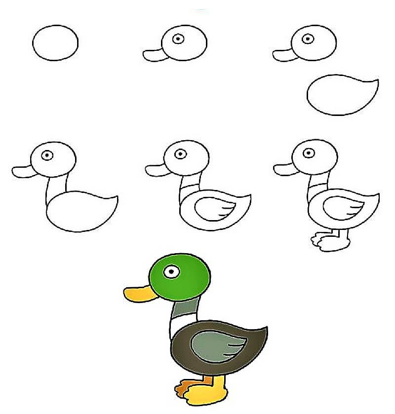 Dibujos de Un pato - Idea 11