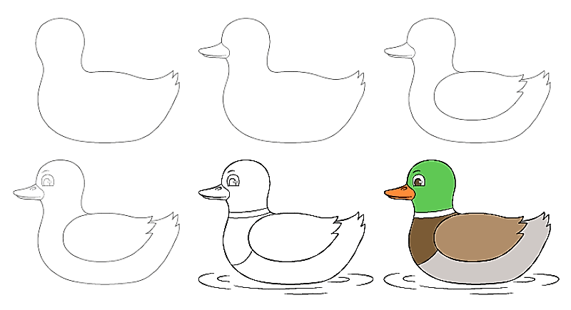 Dibujos de Un pato - Idea 9