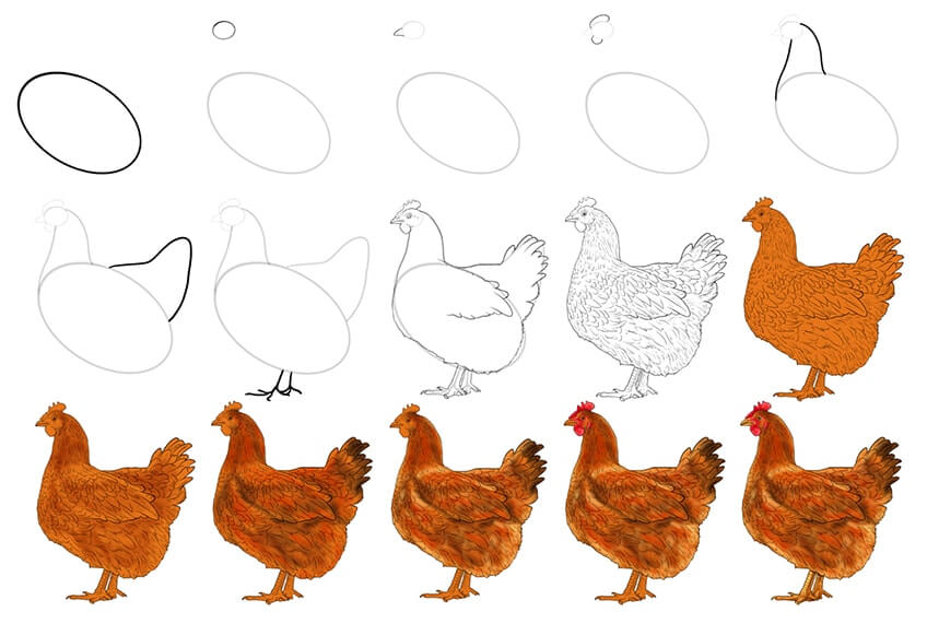 Dibujos de Un pollo - Idea 33