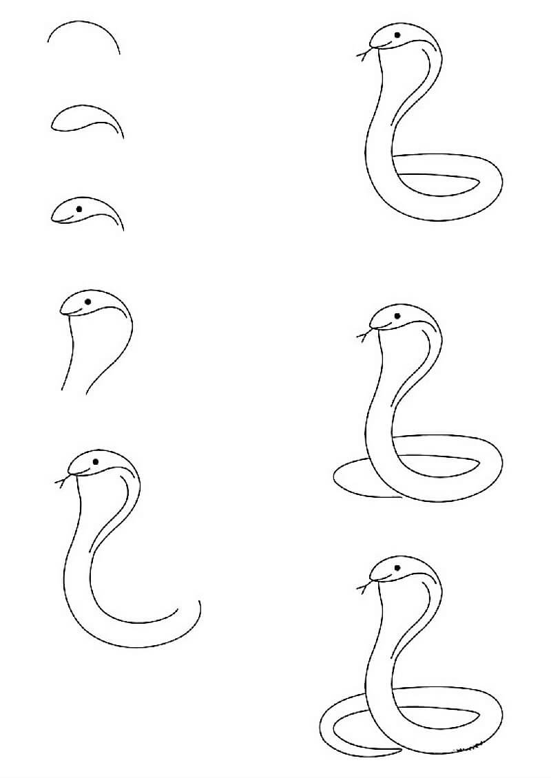 Dibujos de A Simple Cobra