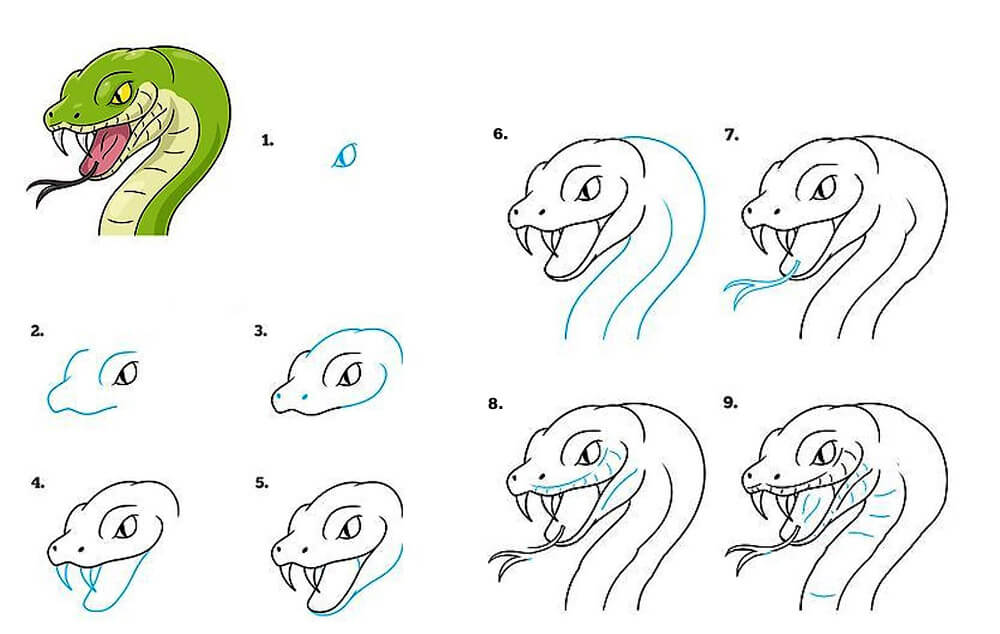 Dibujos de Una serpiente – Idea 18