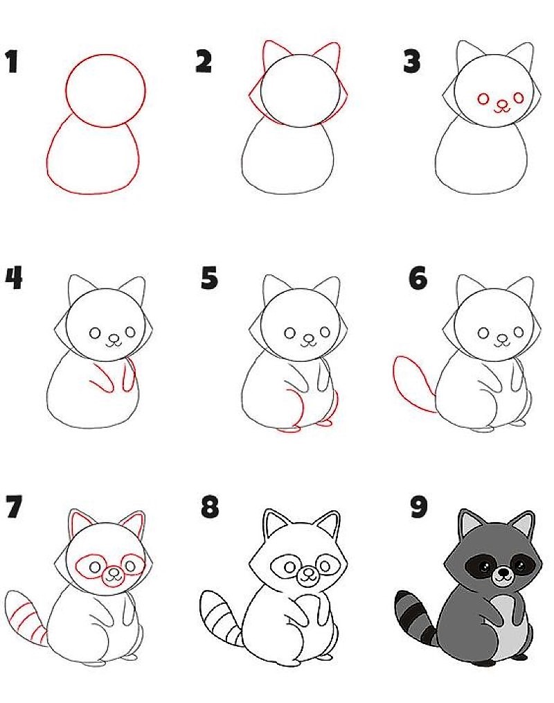 Dibujos de A Raccoon Idea 13