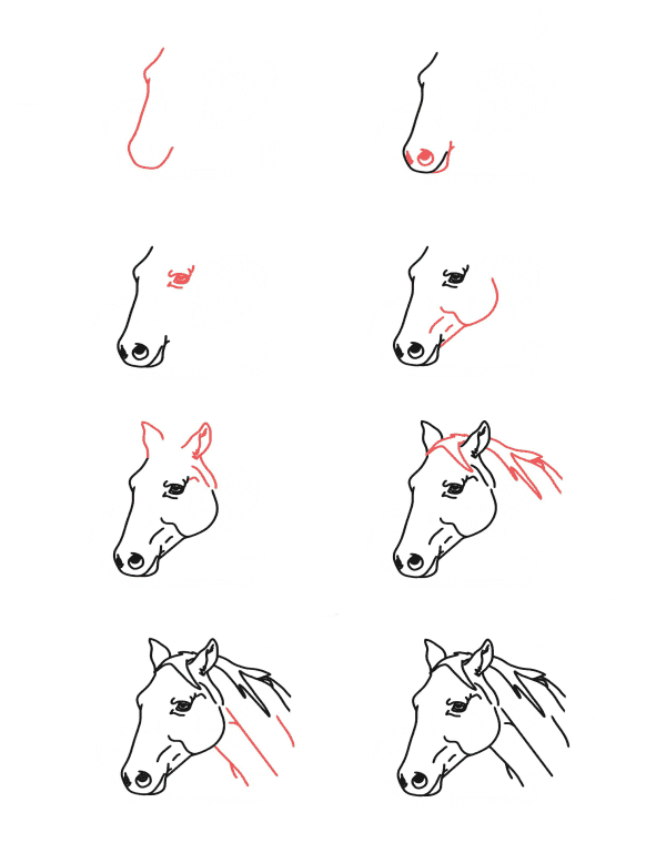 Dibujos de Cabeza de caballo