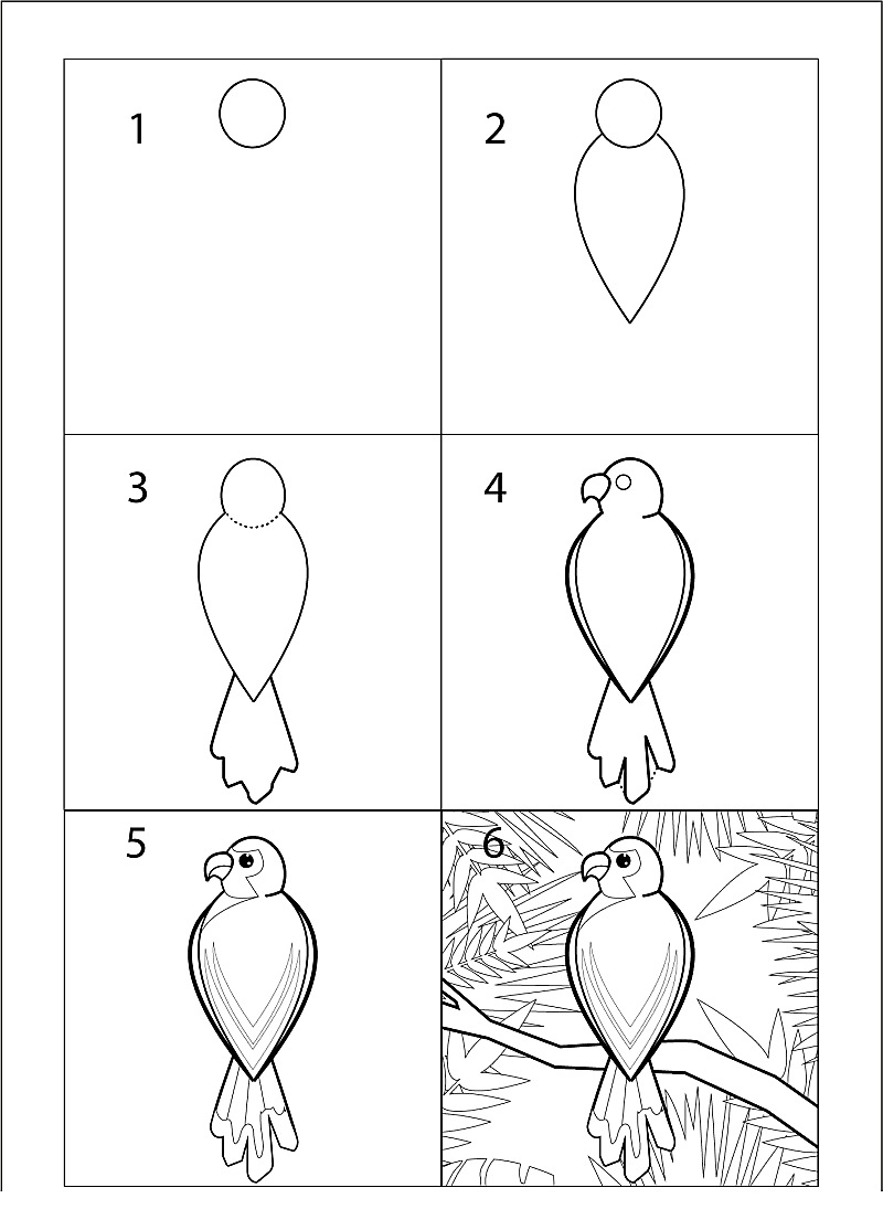 Dibujos de Loros a Lápiz