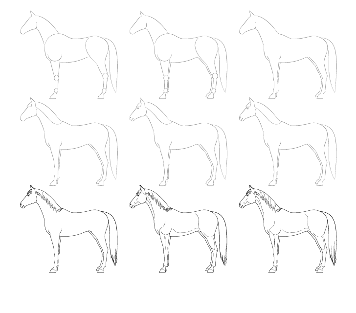 Dibujos de Un caballo - Idea 15