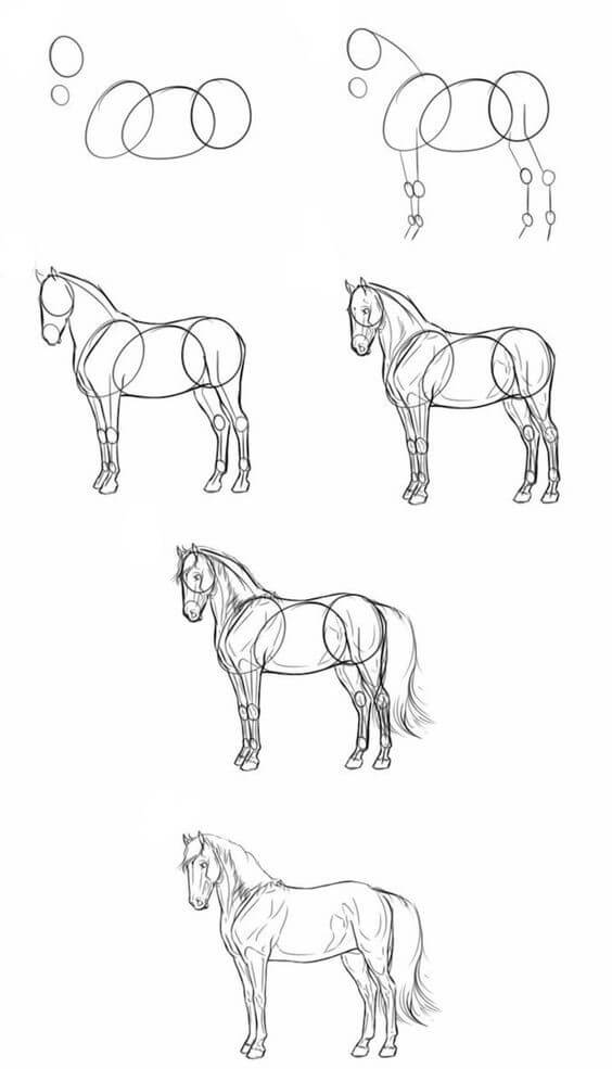 Dibujos de Un caballo - Idea 19