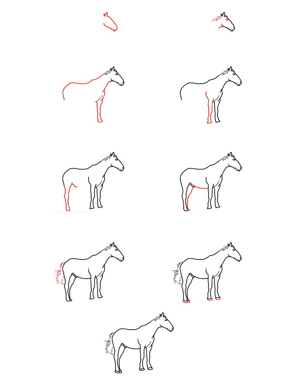 Dibujos de Un caballo - Idea 22