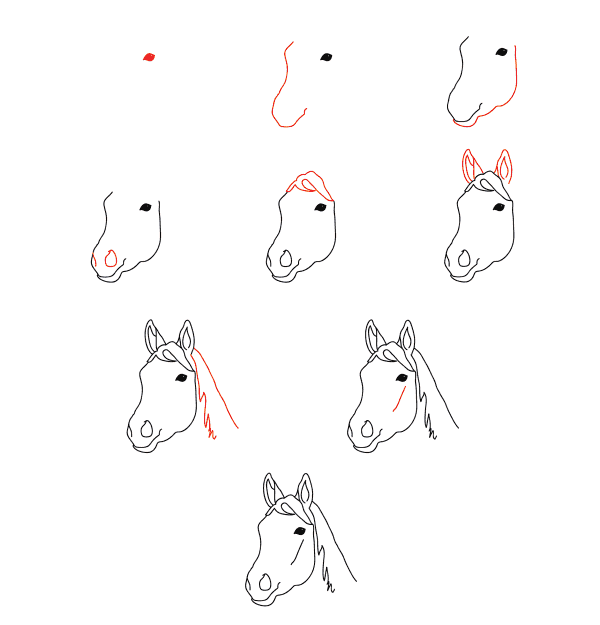 Dibujos de Un caballo - Idea 3  Una simple cabeza de caballo