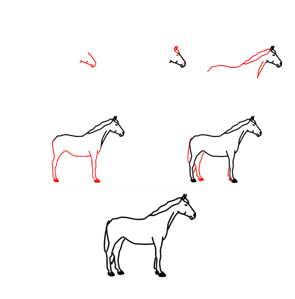 Dibujos de Un caballo - Idea 38