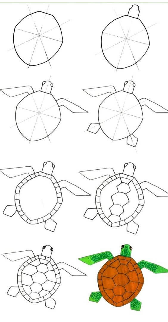 Dibujos de Una tortuga facil - Idea 16