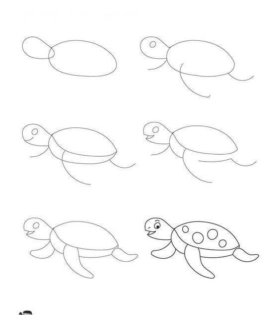 Dibujos de Una tortuga- Idea 17