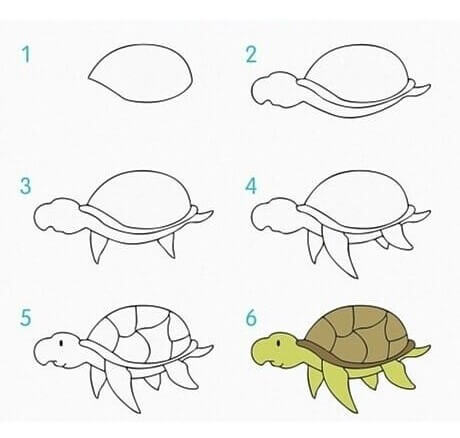 Dibujos de Una tortuga - Idea 32