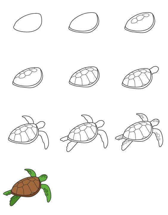 Dibujos de Una tortuga - Idea 36