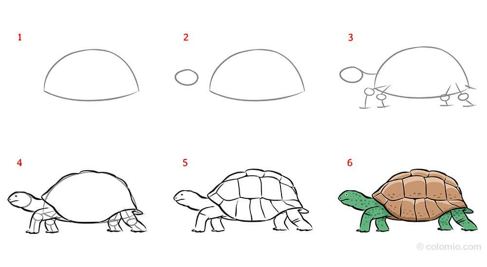 Dibujos de Una tortuga - Idea 40