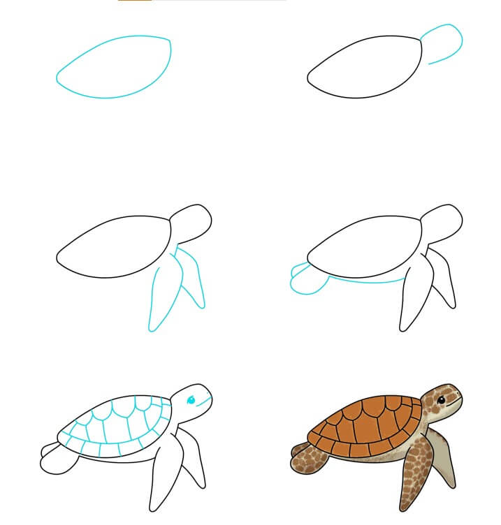 Dibujos de Una tortuga - Idea 42