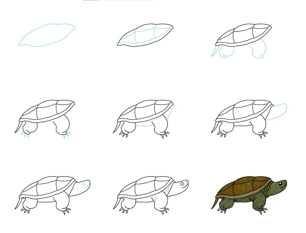 Dibujos de Una tortuga - Idea 43