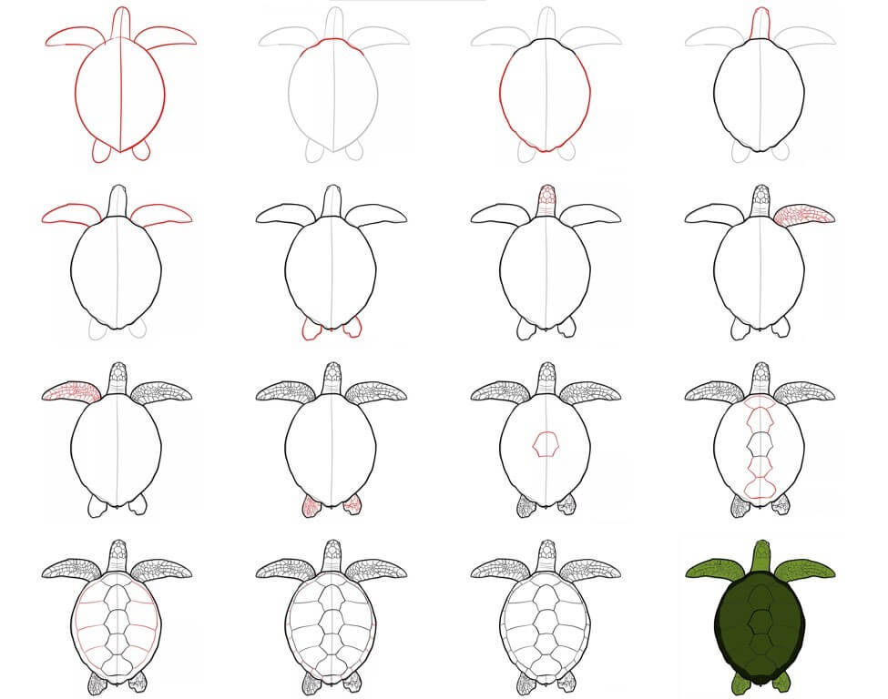 Dibujos de Una tortuga - Idea 44