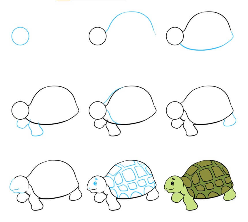 Dibujos de Una tortuga - Idea 47